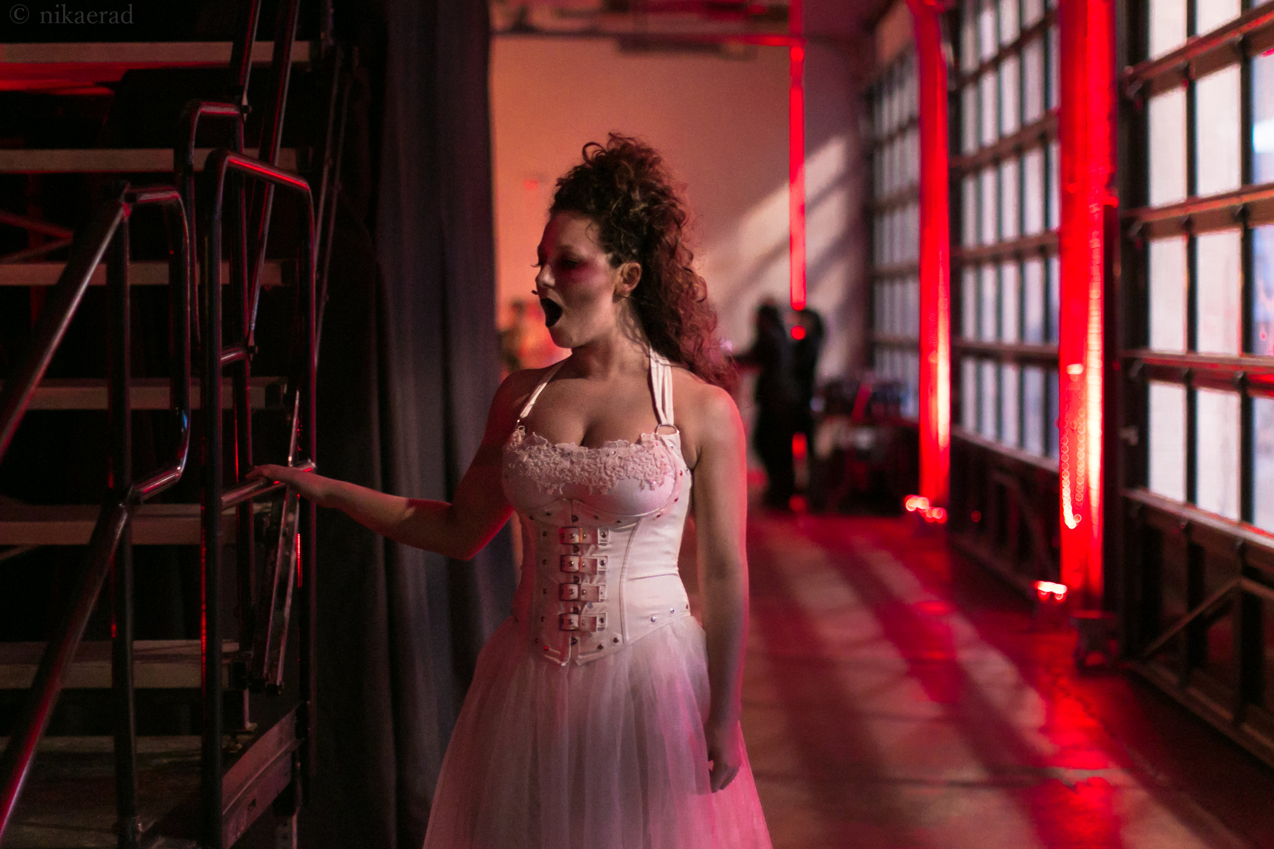   Fall of the House of Usher  at &nbsp; Wolf Trap Opera. Photo: Nika Radivilov. 