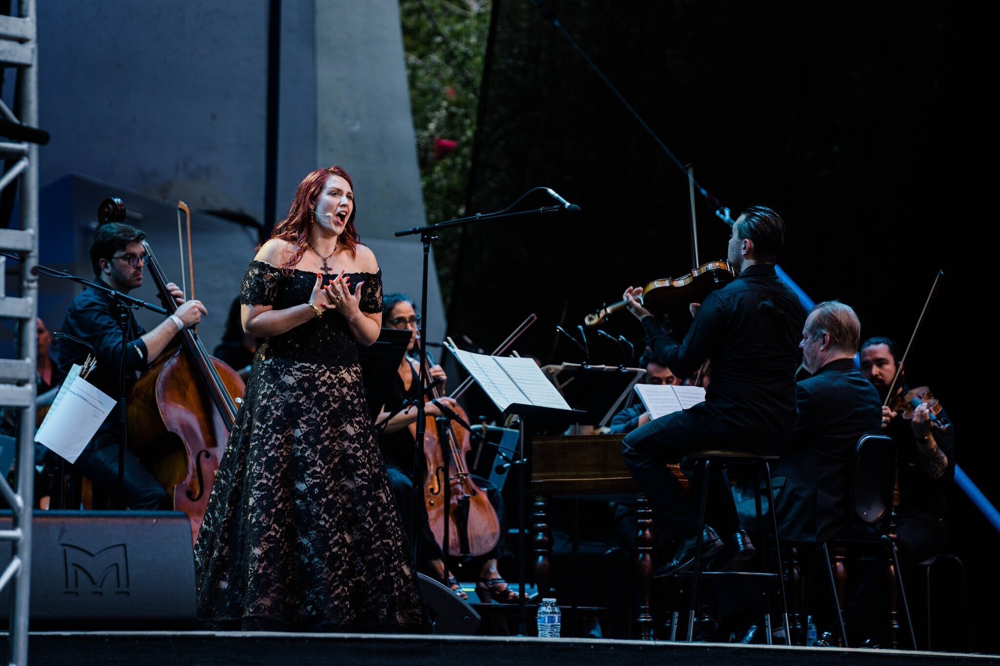  Rosina in  Il barbiere di Siviglia  in concert with Teatro Nuovo at Lincoln Center’s Damrosch Park. Photo: Gabriela Bhaskar for the  New York Times . 