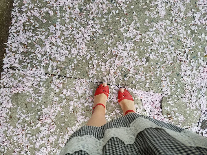 cherryblossomsKLPYOGA.jpg