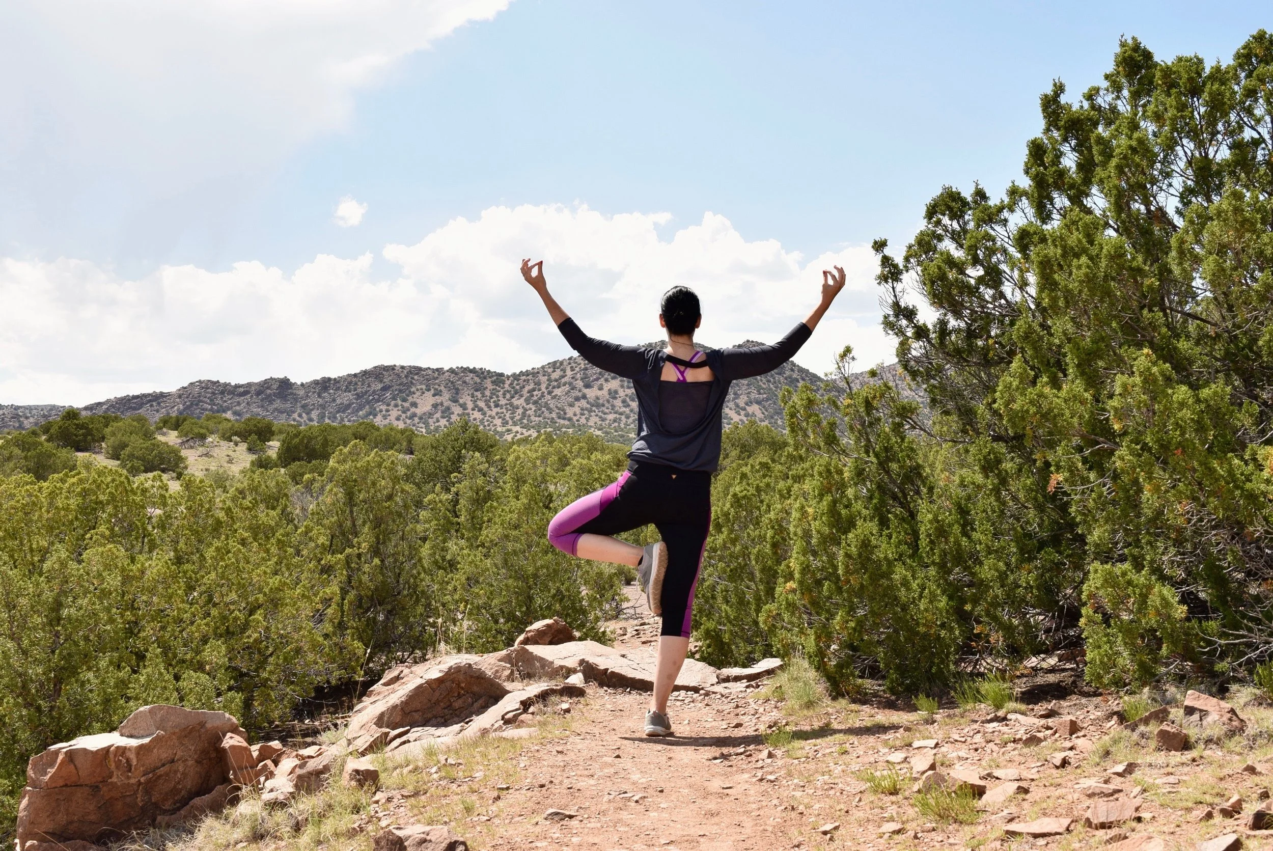 treeposeklpyoga.jpg