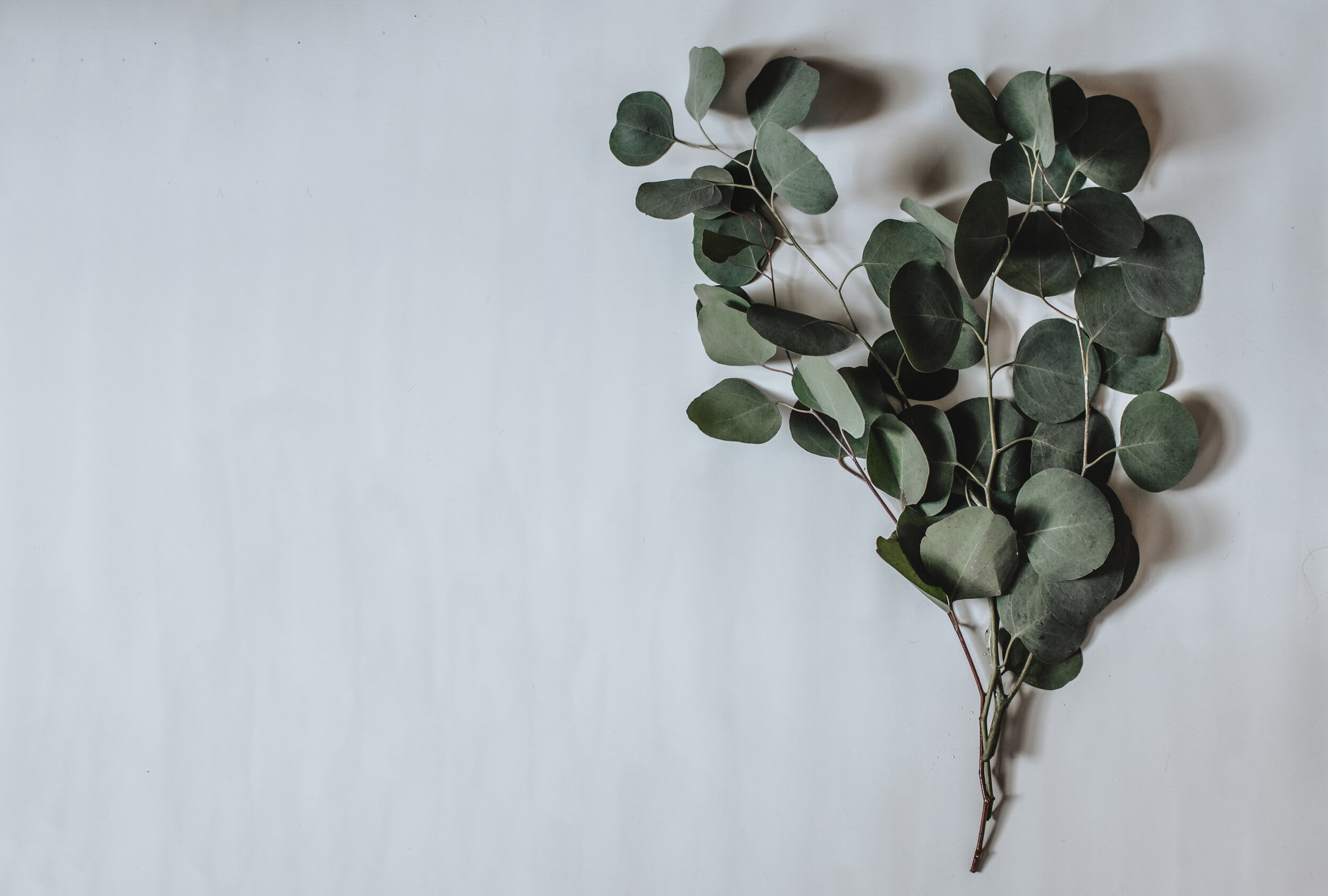 Image via Unsplash by Kelly Sikkema