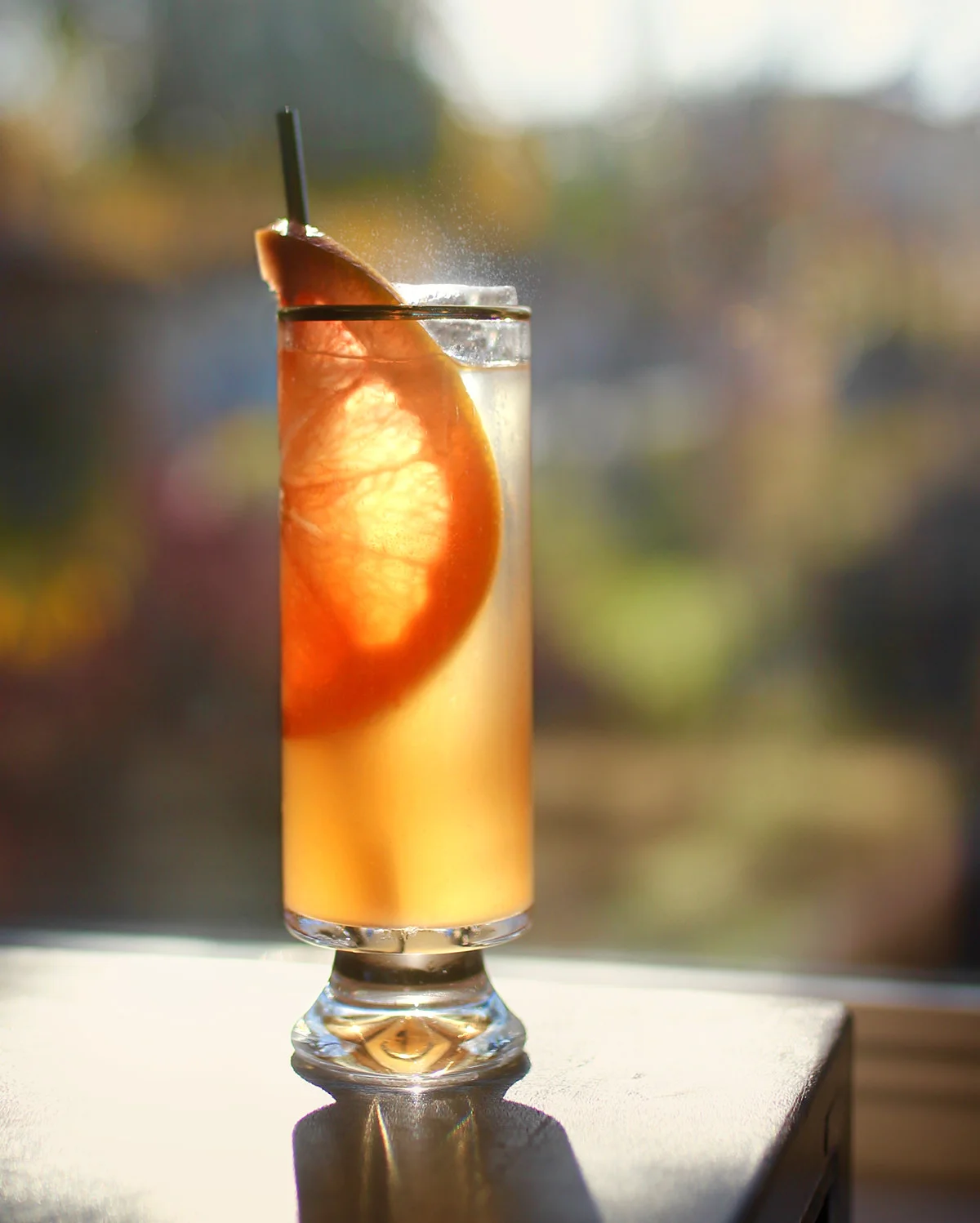 HIBISCUS-PALOMA_SIDE.jpg