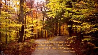 THE WAY OF DISCERNMENT: A Seven Week Prayer Experience