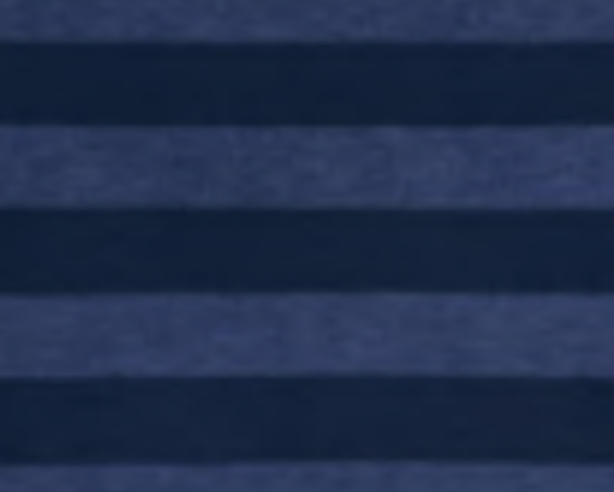 Navy Stripe.jpg