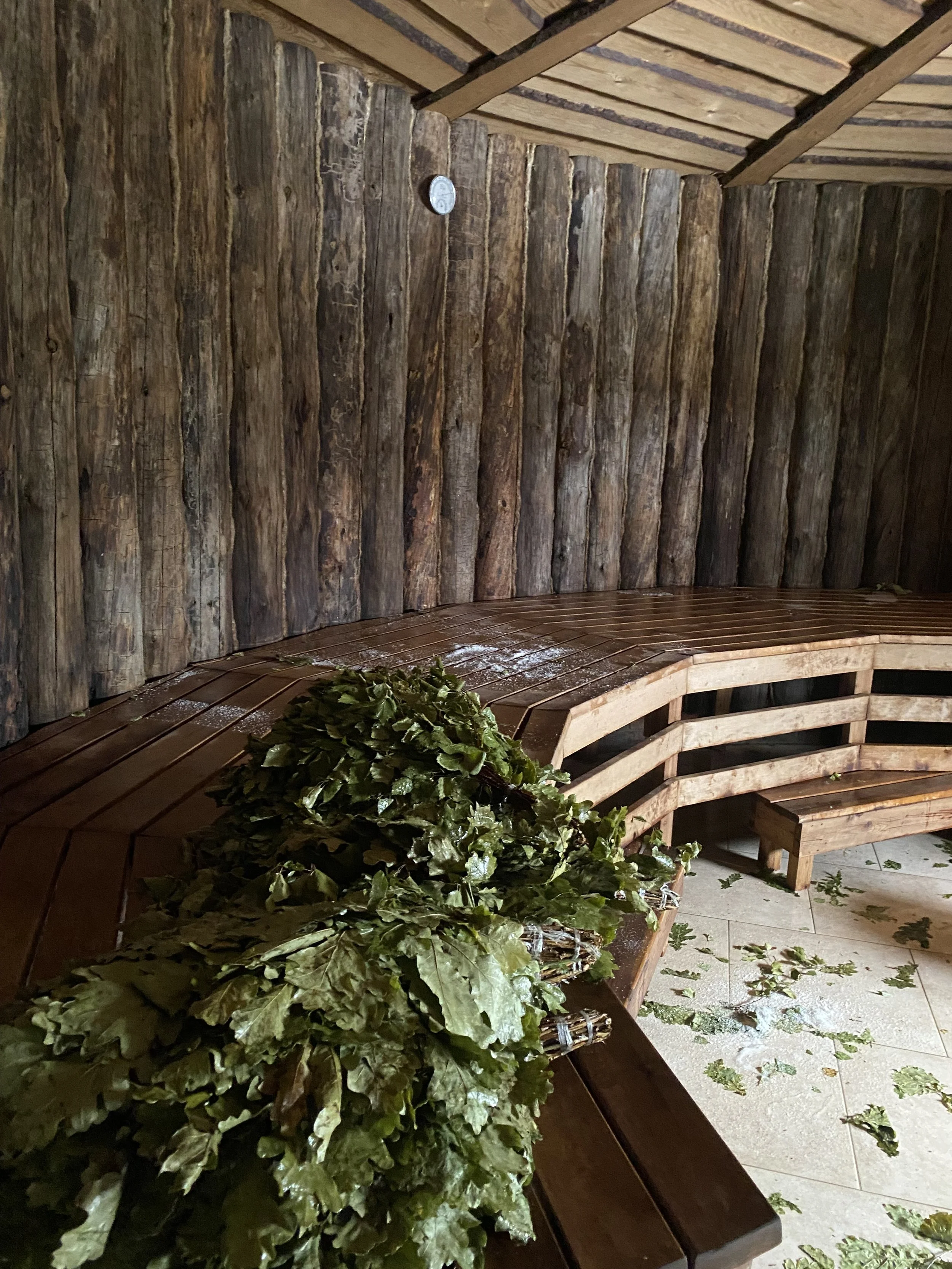 Банный кэмп в Литве 22-31 мая