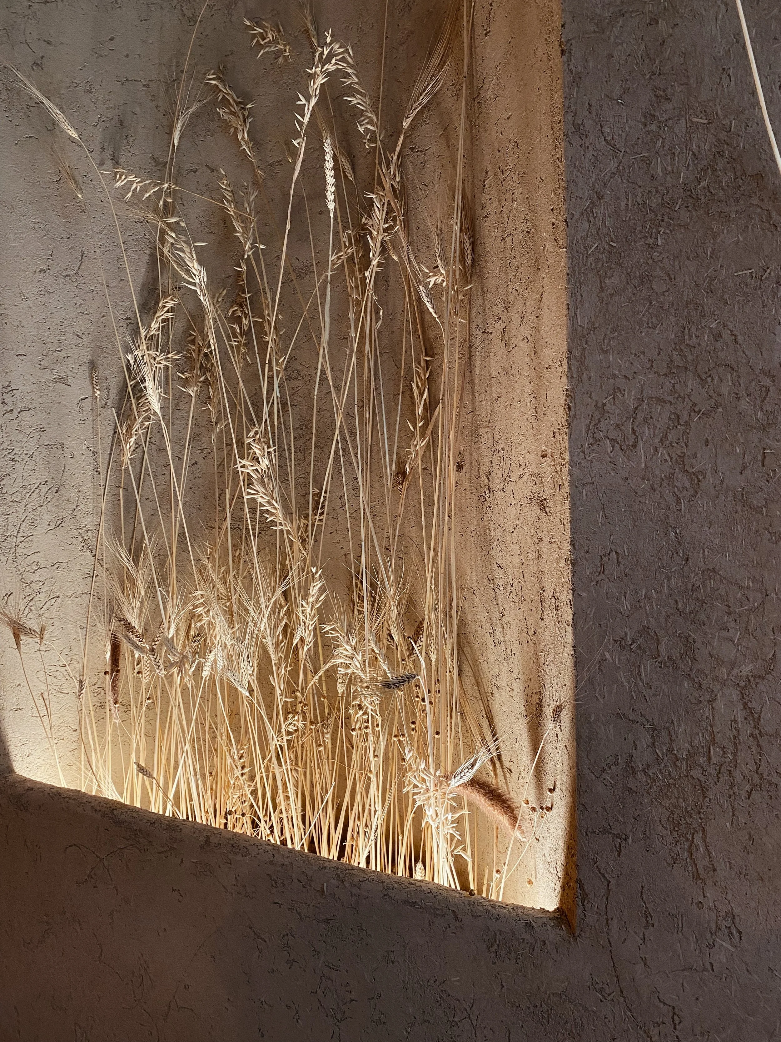 Soloma Group в Казани