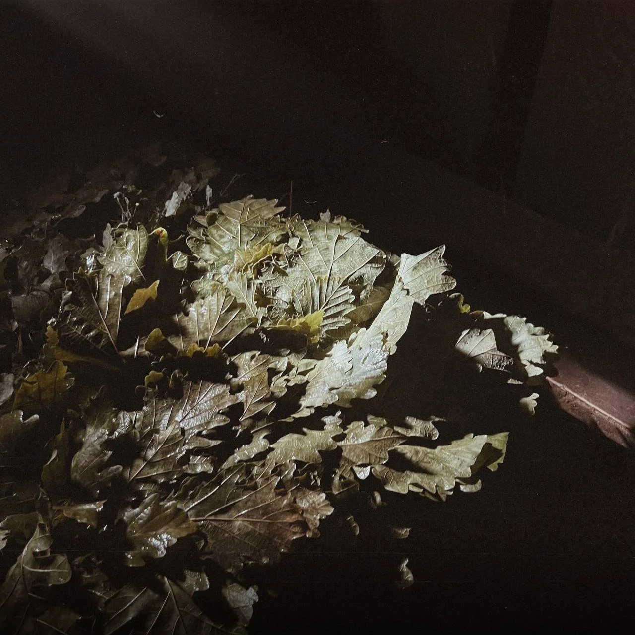 10 насущных вопросов про баню 