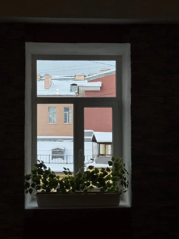 10 лет нюду и целительному лозунгу