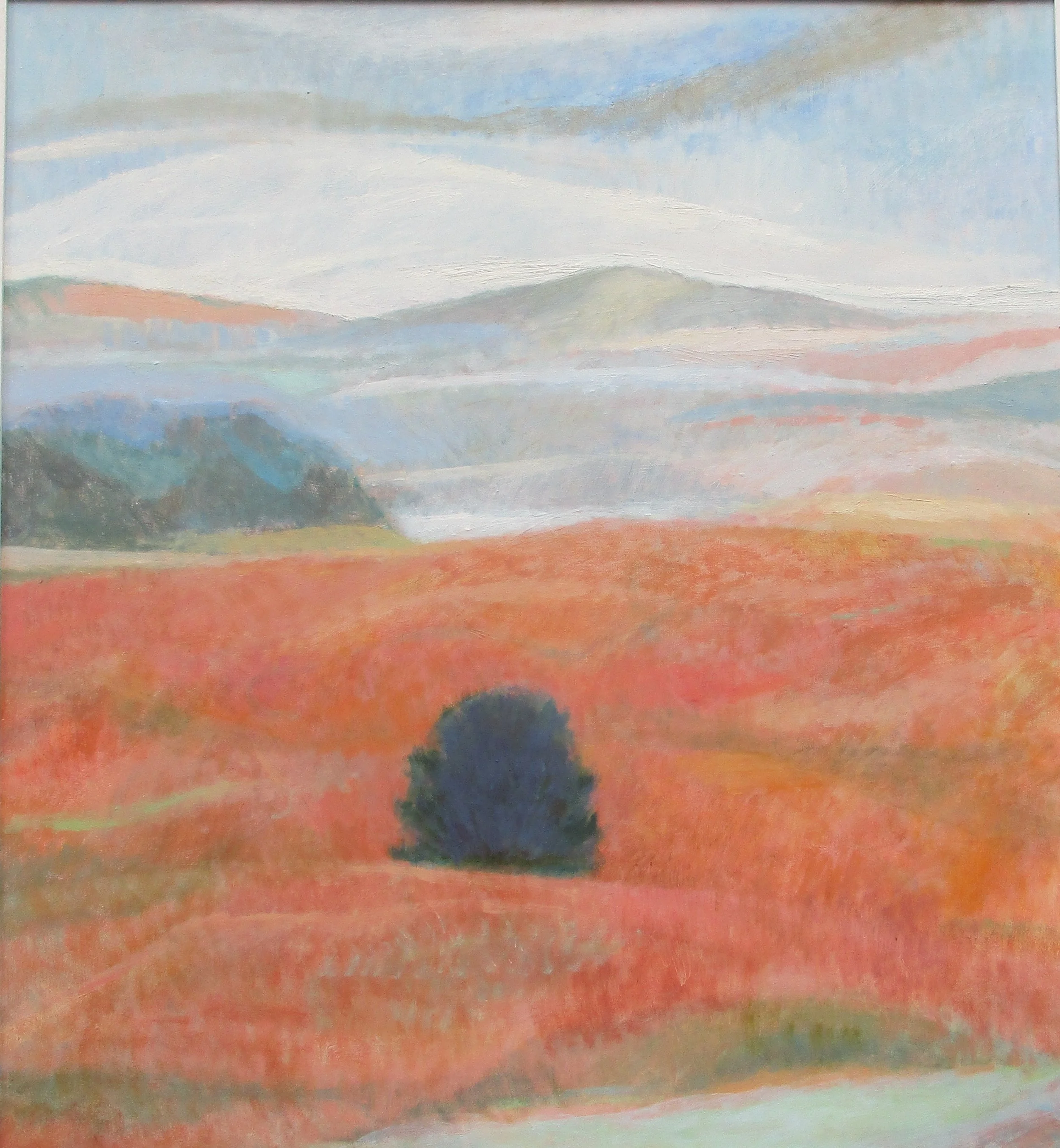 Bracken Hill, Dartmoor - £375.00 FOR SALE