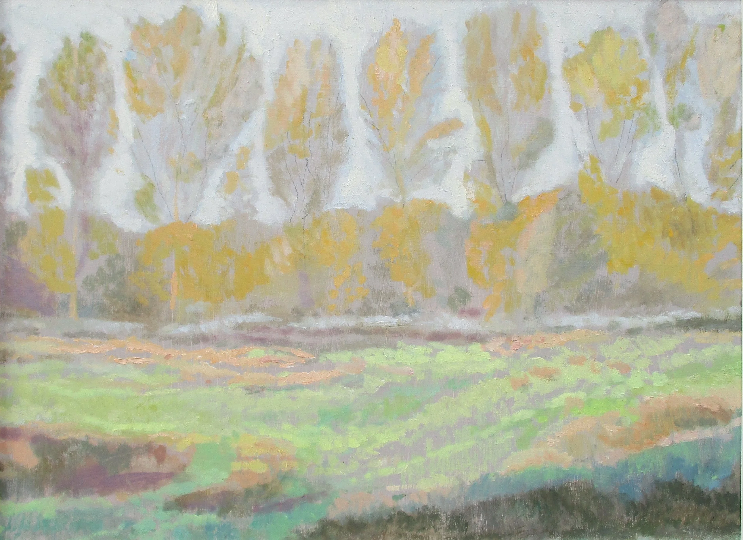 October Poplars - £250.00 SOLD