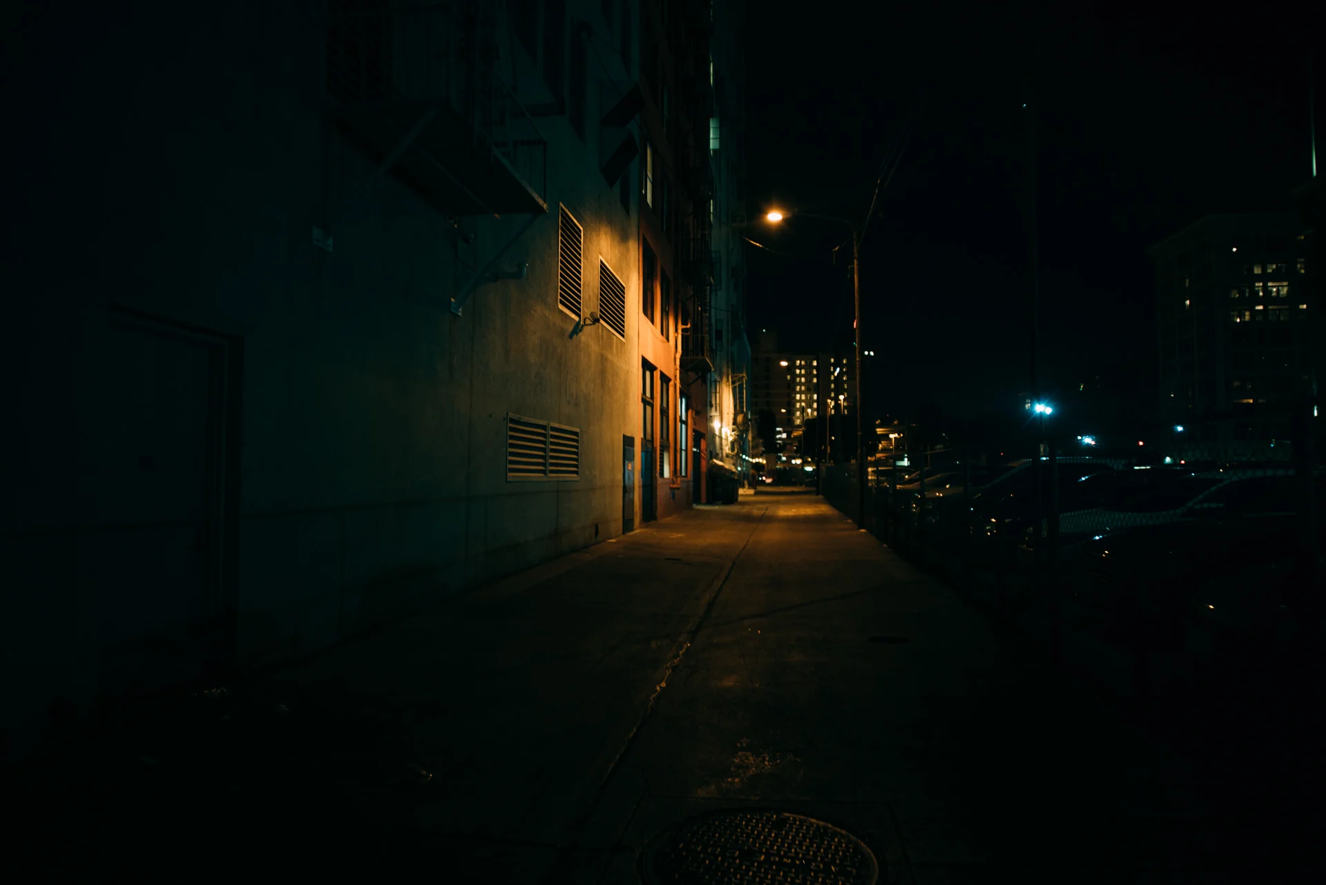 DSC07841.jpg