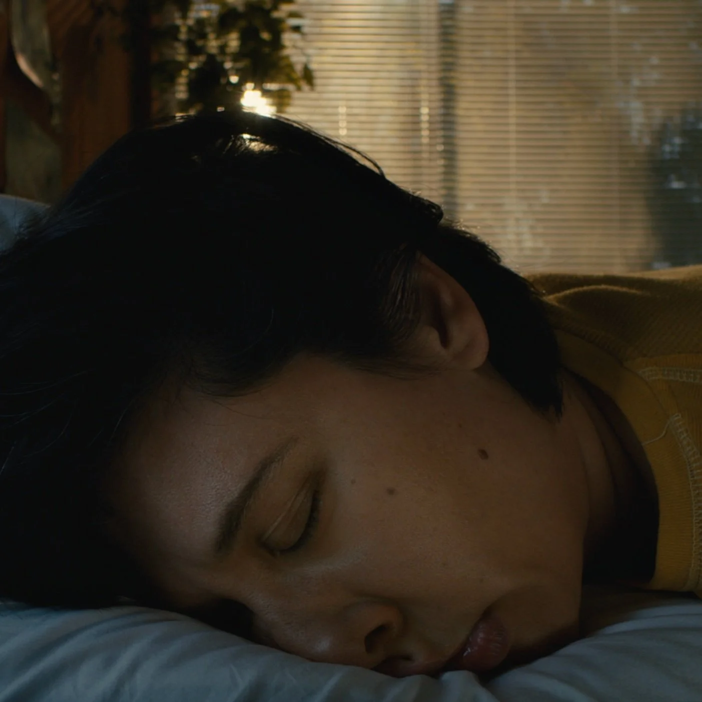 Screenshot 2025-04-29 at 1.49.48 PM.jpg