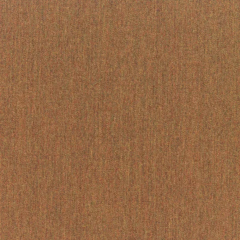 CANVAS TEAK (739C)