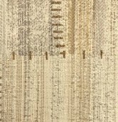 PASTIME DESERT (521D)