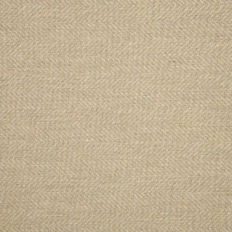 POSH SHITAKE (501E)