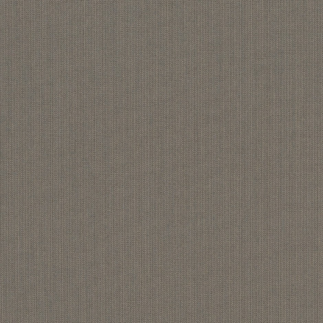 SPECTRUM GRAPHITE (492C)