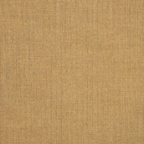 SPECTRUM SESAME (578C)