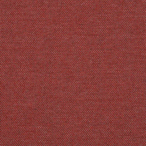 SPOTLIGHT ROSE (466C)