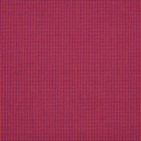 VOLT FUCHSIA (528D)