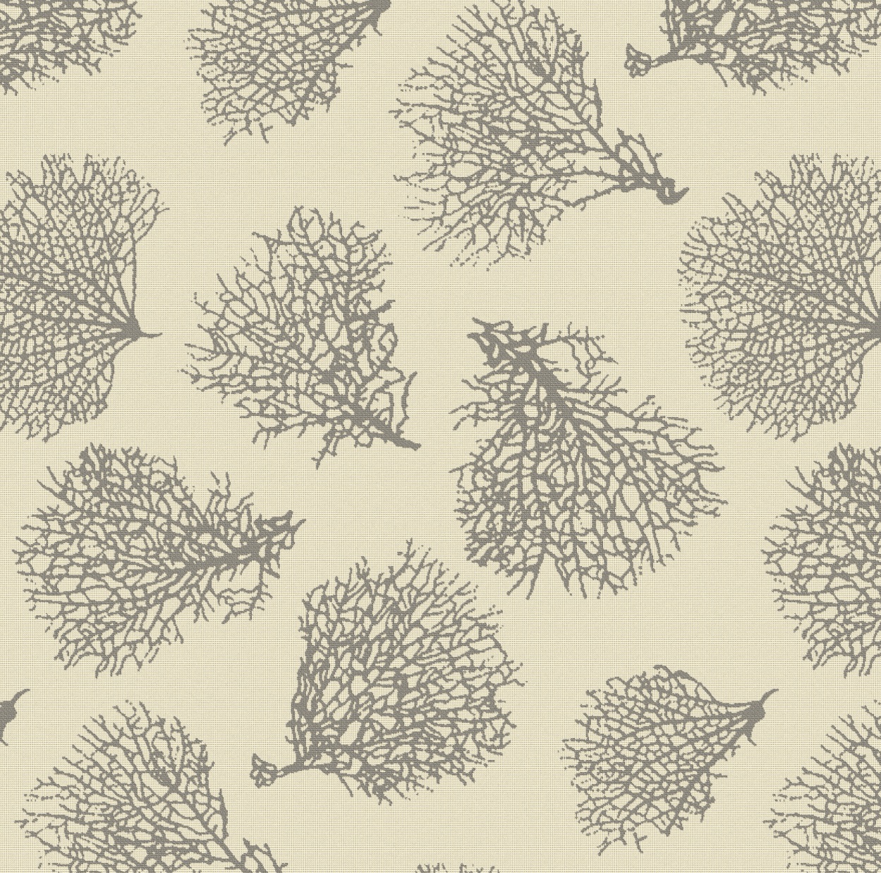 CORAL FAN ERCU (428F)