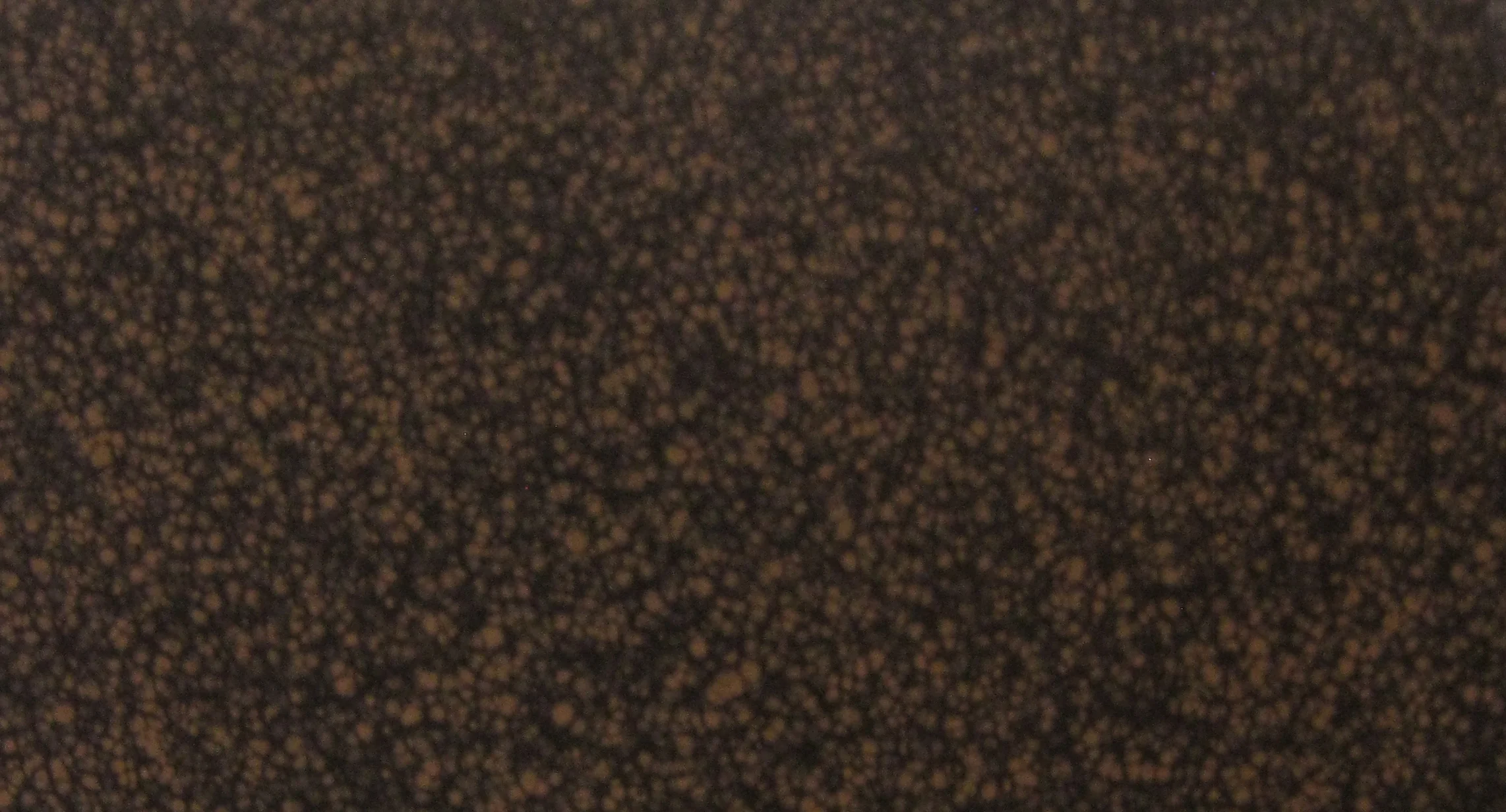 Scoria 3102.jpg