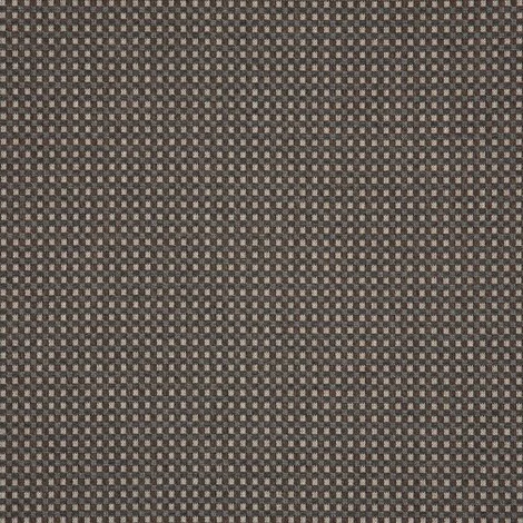 DEPTH FOSSIL (371E)