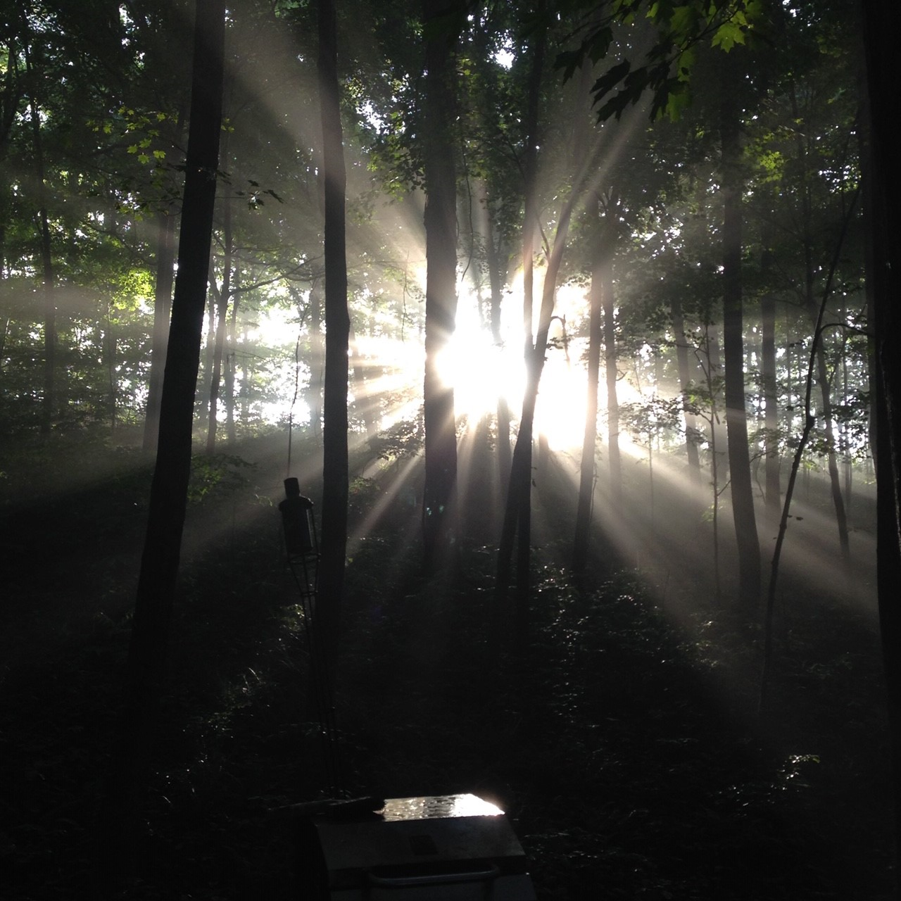 Announcing "Somebody Turned On The Light" EP - Out September 27