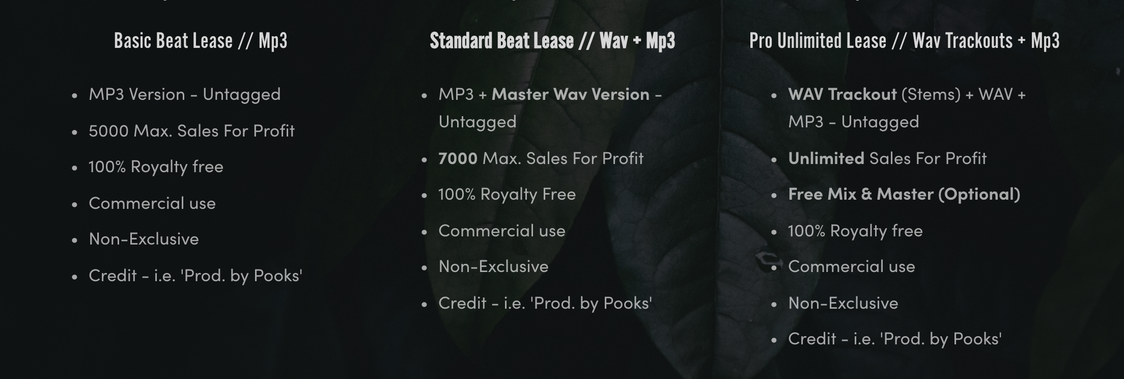 free lease beats