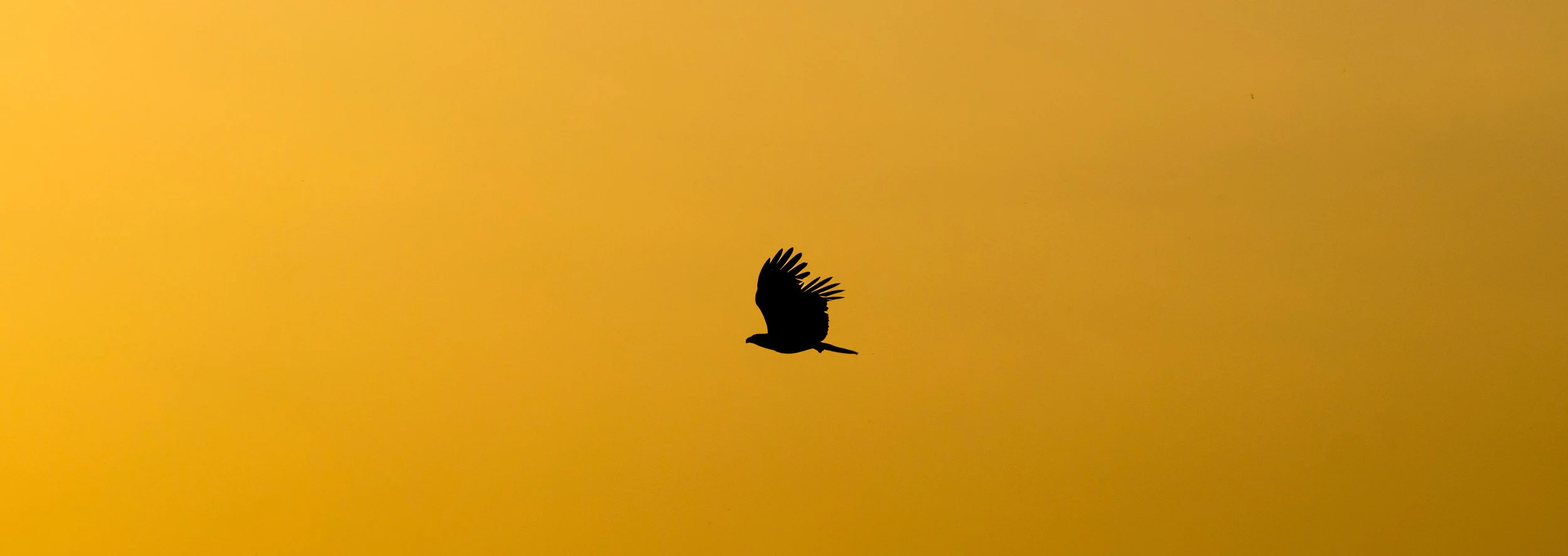 photo by shreyas malavalli