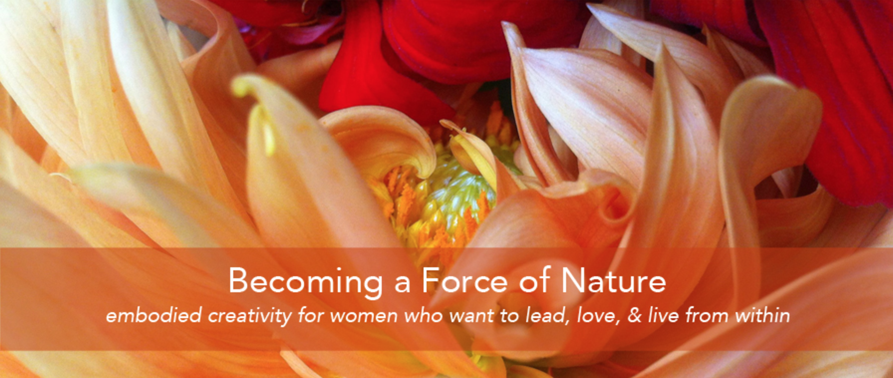 Screen Shot 2017-06-07 at 5.42.23 PM.png