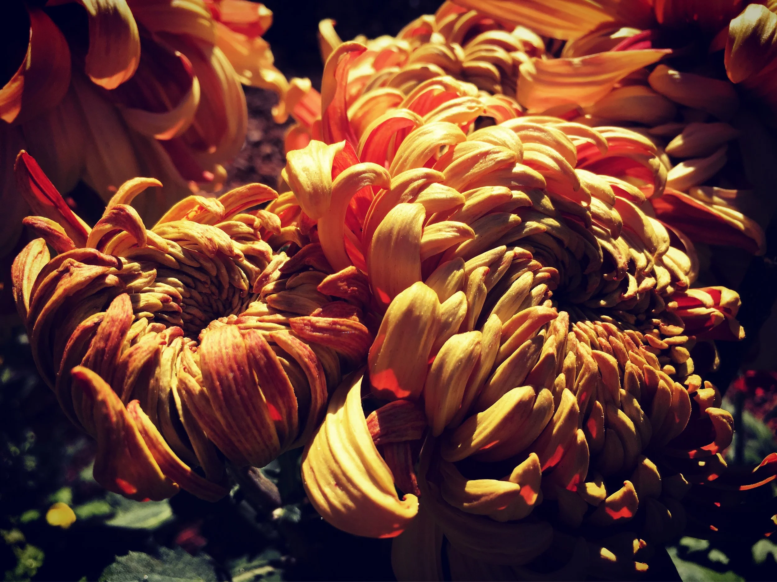 The Soul Never Gives Up...