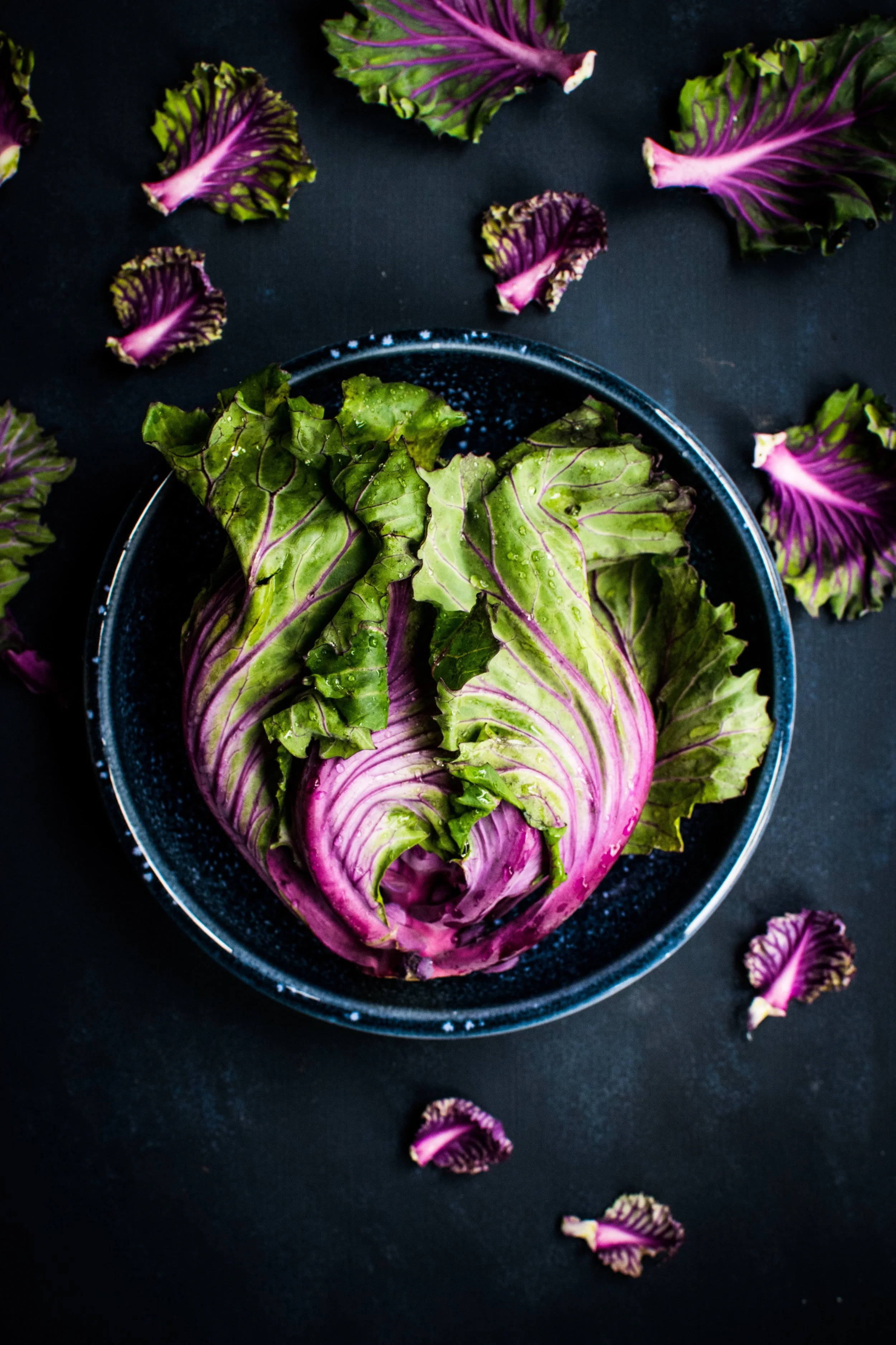 Leadership & Lettuce — Learning to Trust in and Lead for the Process of Growth and Change