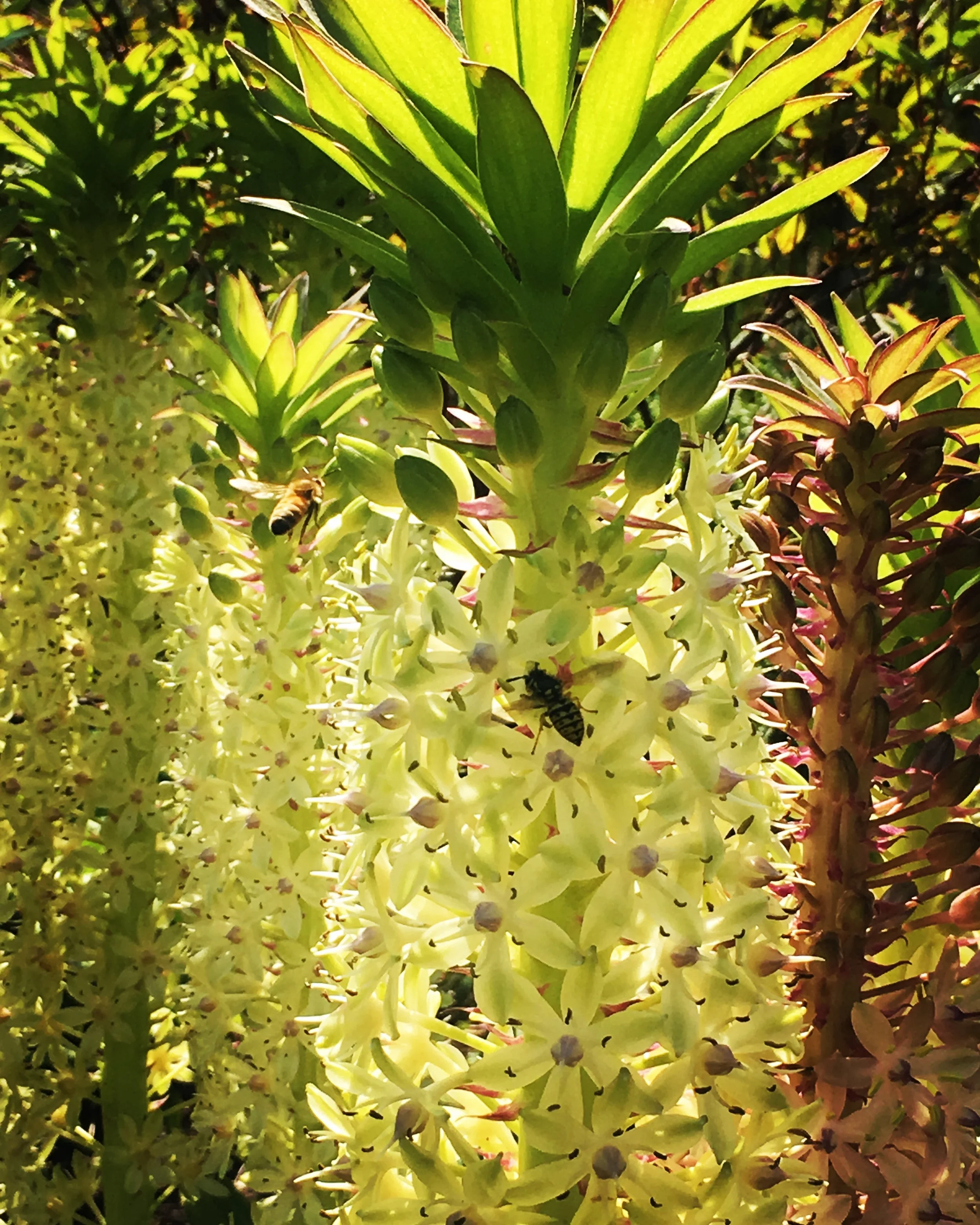 Fostering Creativity: Bridging Reason and the Imaginal Realm