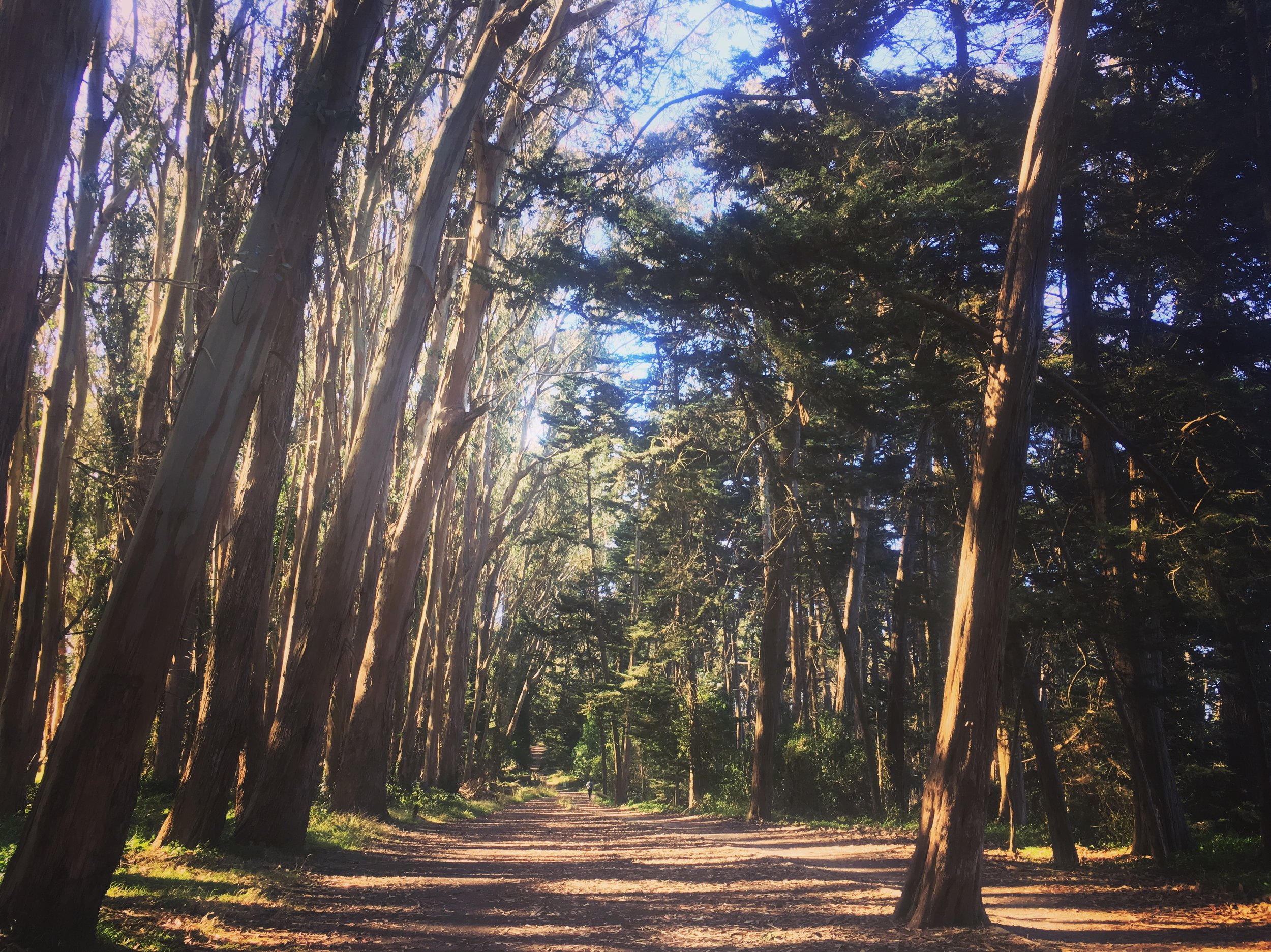 That grief? Maybe it’s not what you think it is. Maybe it’s an invitation, a beckoning…