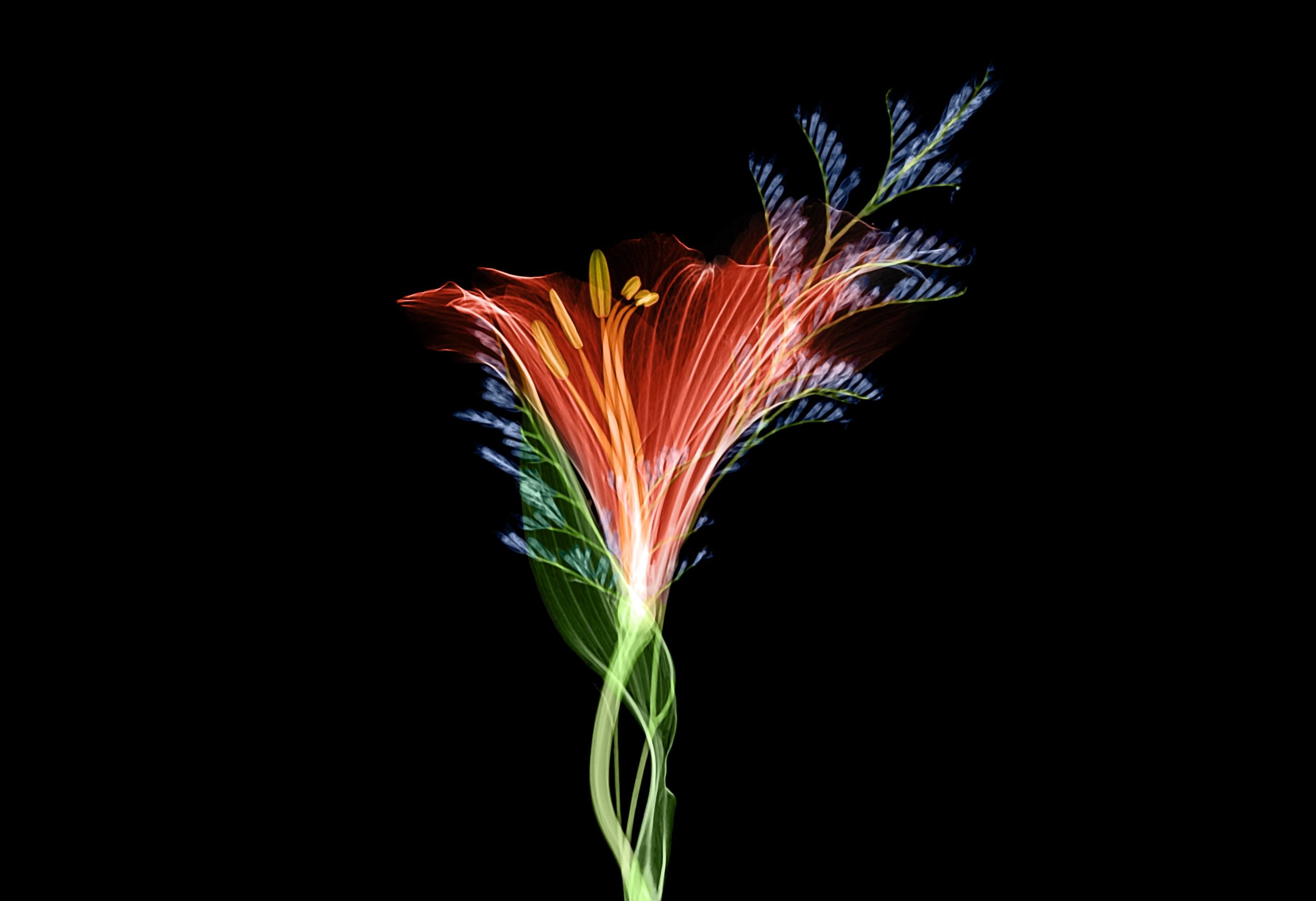 Vital Creativity: 10 Practices to Grow and Strengthen Your, and Others’, Creative Voice
