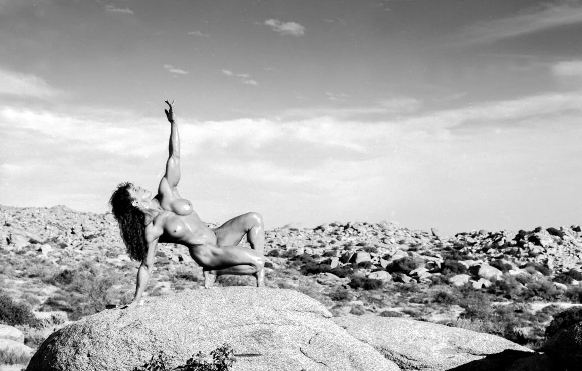  Title: DIANA DENNIS, DESERT   Year: 2020  Media: Pigment on wood  Chrome museum shadowbox framed: 58 x 37 X 2 in. (147 x 94 X 5 cm.)  Edition: 1/9    Price on Request   Represented by AC Gallery (12/18) 