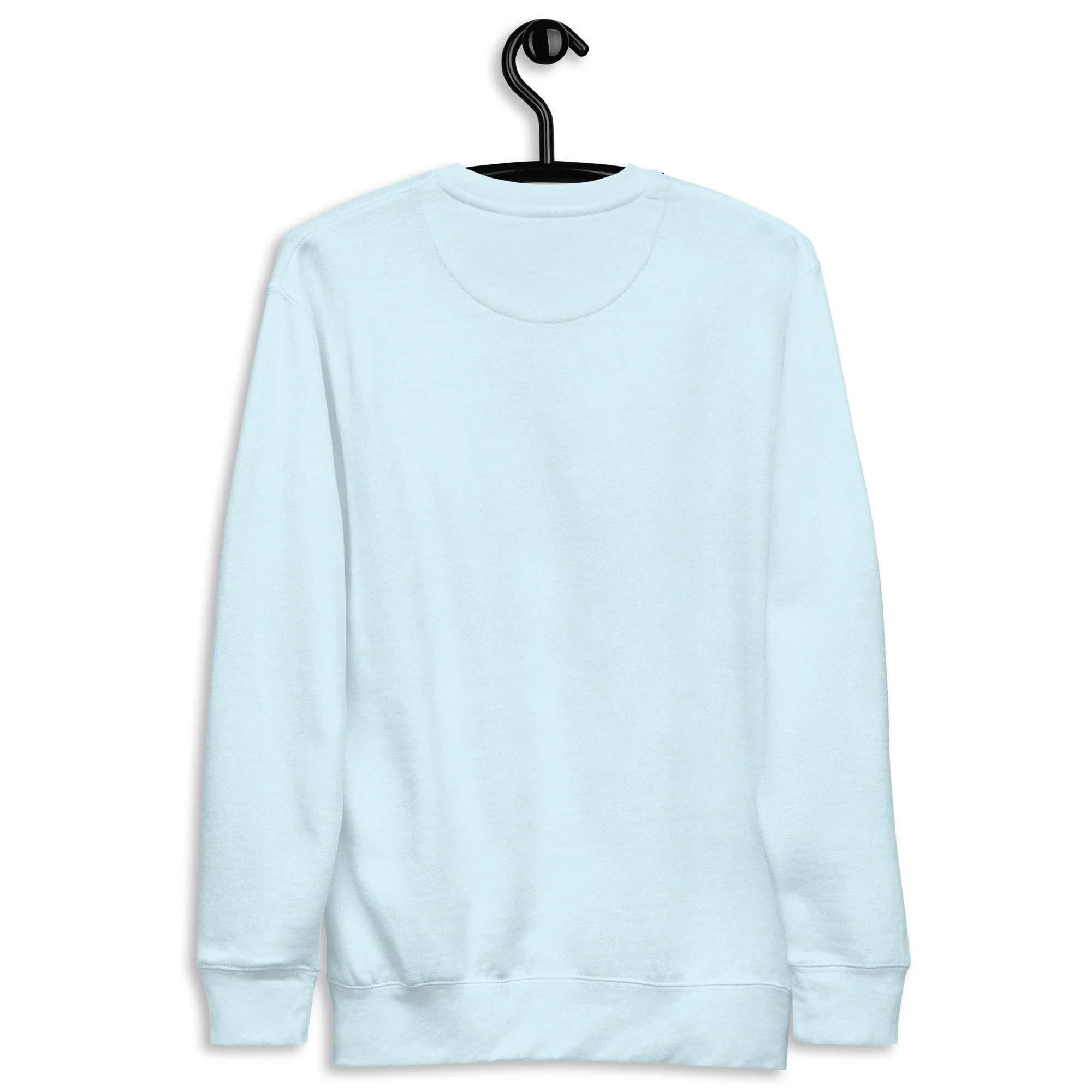 unisex-premium-sweatshirt-sky-blue-back-697095efb8bd4.jpg