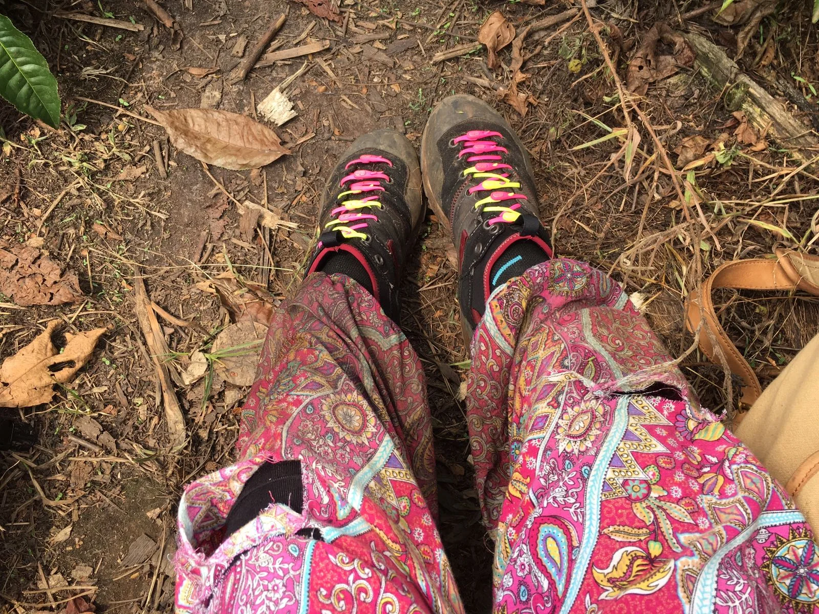 The Ultimate Guide To Mountain Gorilla Tracking In Uganda 20.jpeg