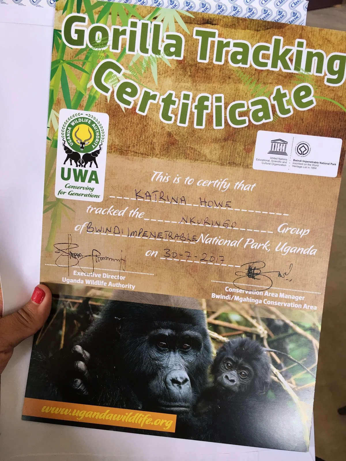 The Ultimate Guide To Mountain Gorilla Tracking In Uganda 22.jpeg