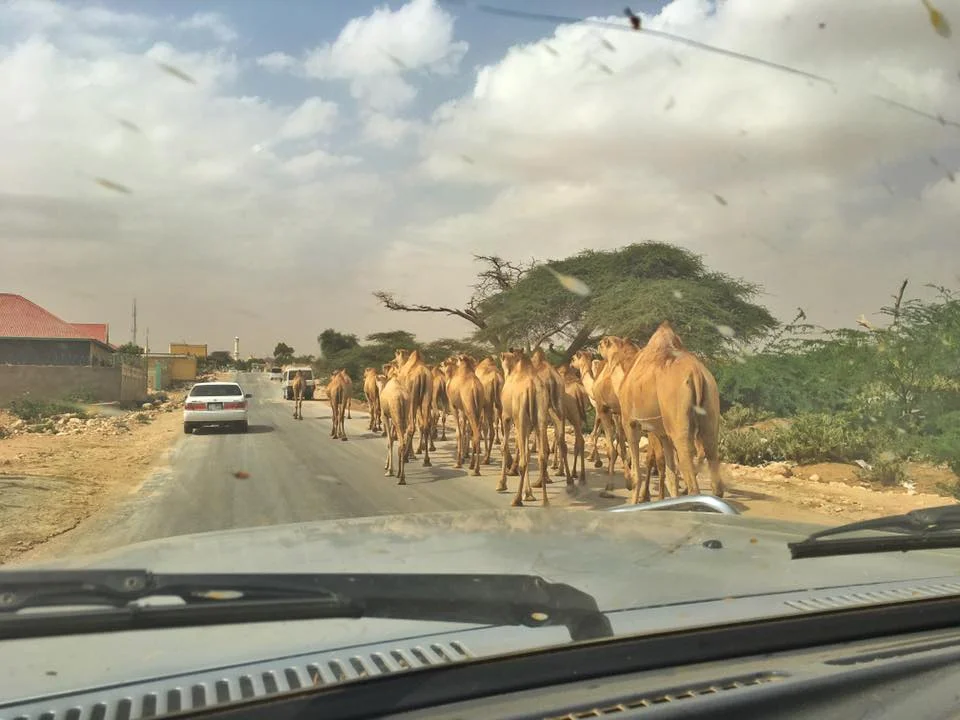 The Border To Somaliland The Danger, The Process And Useful Tips 13.jpg