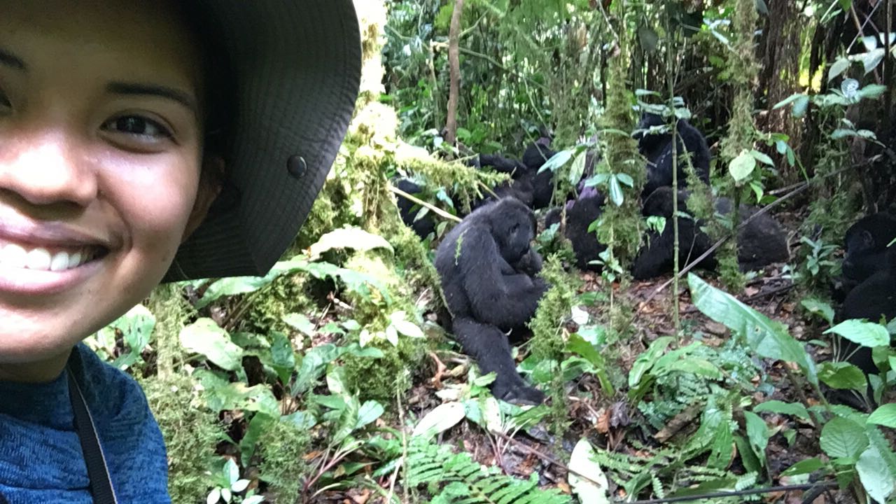 The Ultimate Guide To Mountain Gorilla Tracking In Uganda 14.jpeg
