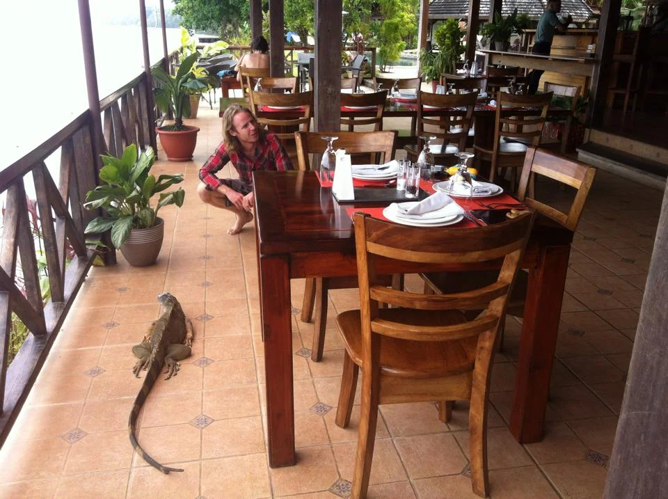 2015 Recap: Dreams do come True - from Backpacking to Luxury Travel #SustainTravel