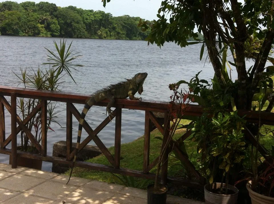 2015 Recap: Dreams do come True - from Backpacking to Luxury Travel #SustainTravel
