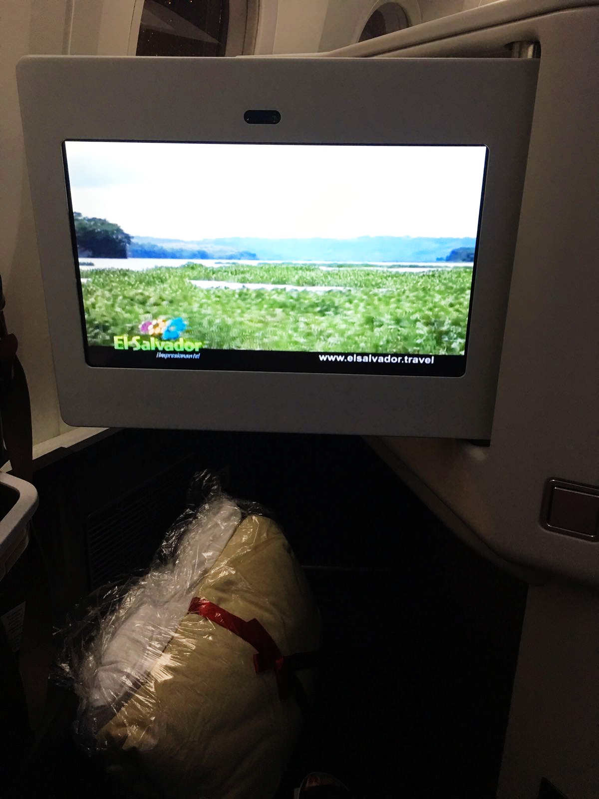 Avianca Airlines Business Class Experience from Bogota to Madrid