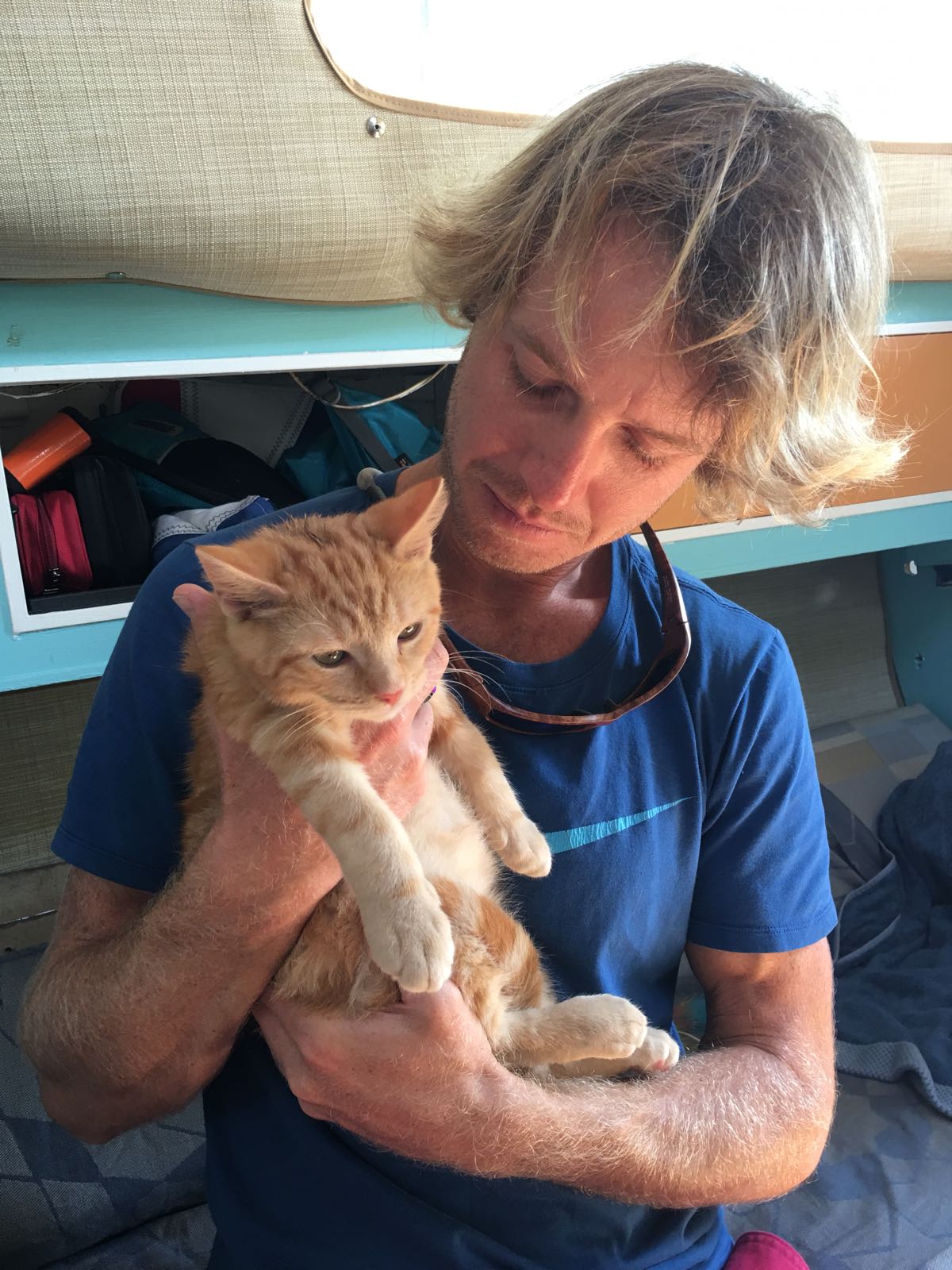 Meet Captain Ahab - Our New Sailor Cat Who Will Sail Around the World With Us