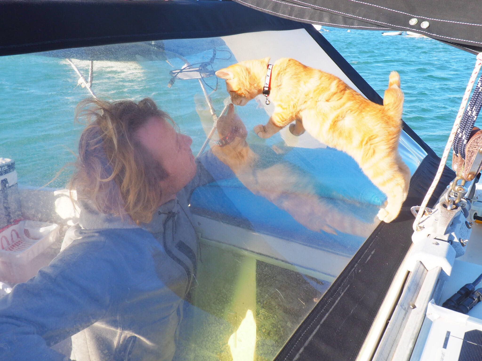 Meet Captain Ahab - Our New Sailor Cat Who Will Sail Around the World With Us