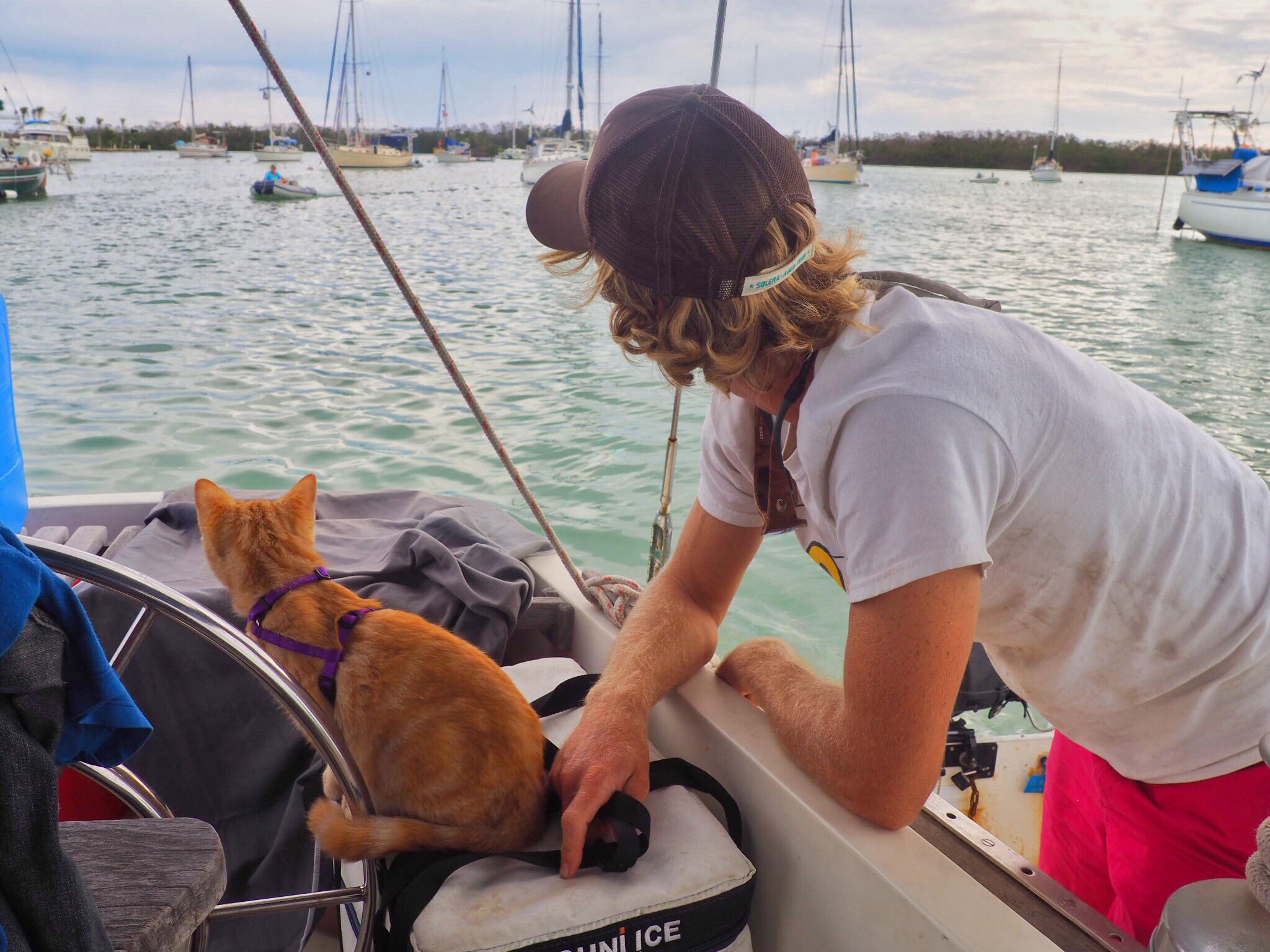 Meet Captain Ahab - Our New Sailor Cat Who Will Sail Around the World With Us