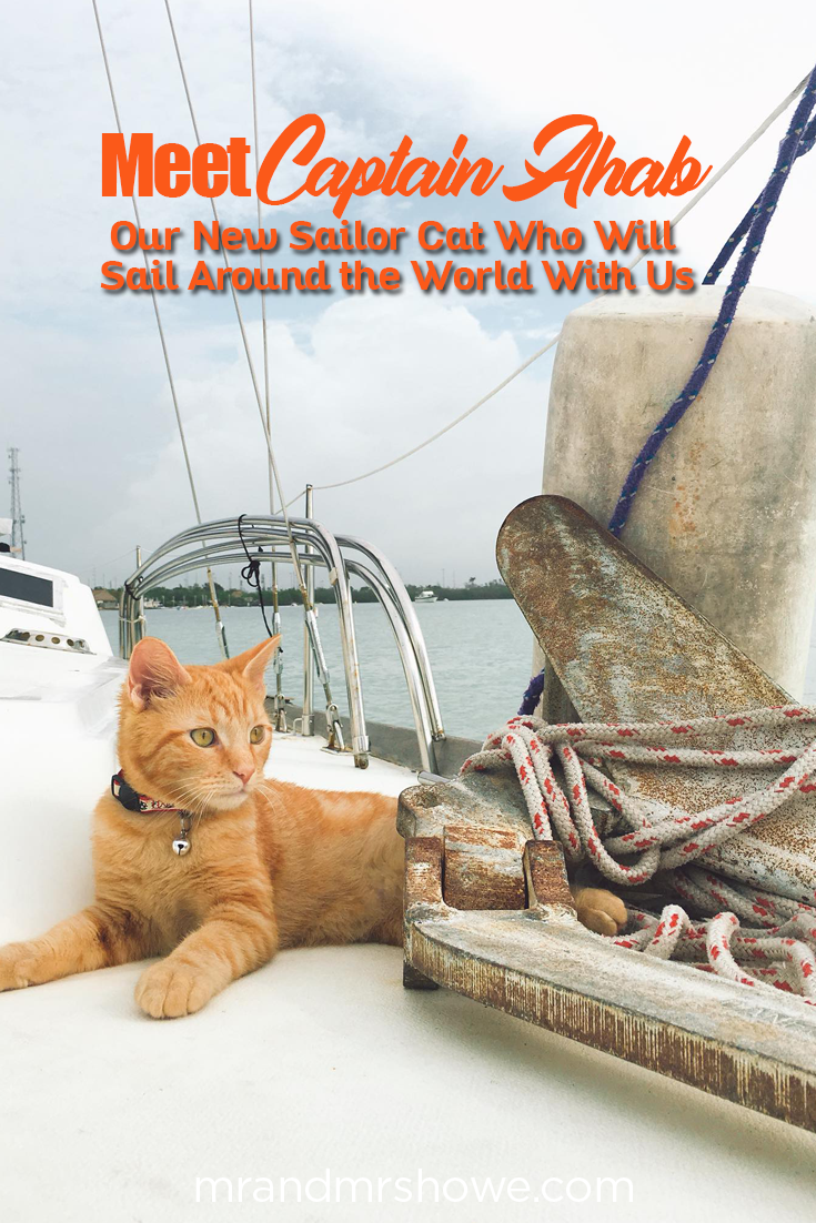 Meet Captain Ahab - Our New Sailor Cat Who Will Sail Around the World With Us2.png