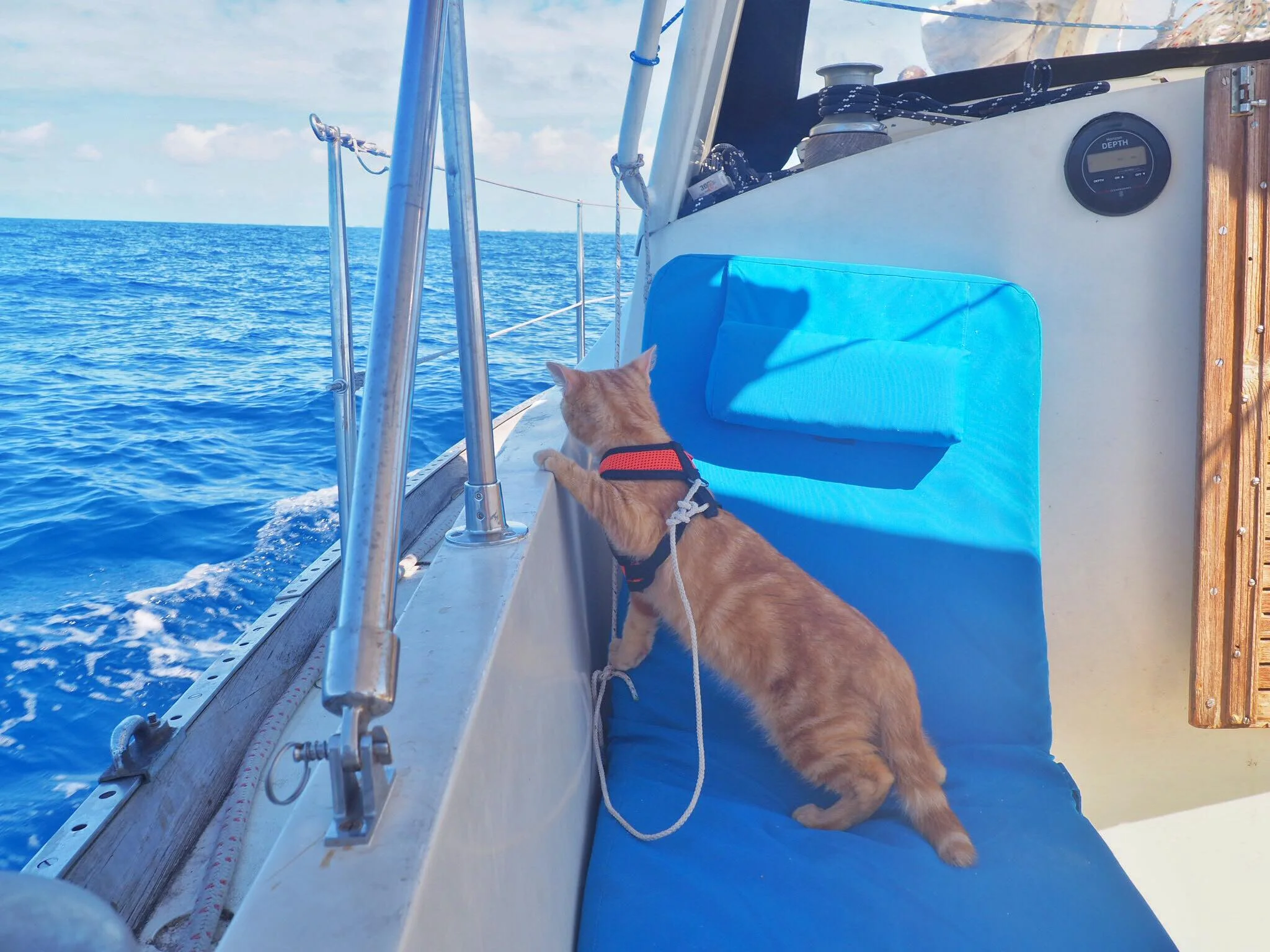 Crossing the Gulf Stream Directly from Boot Key City Marina in Marathon, Florida Keys to Bimini, The Bahamas - Captain's Log #1