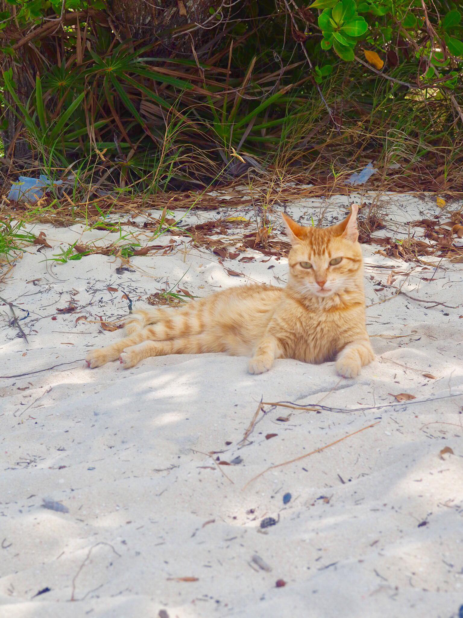 Sailing Life Day 33: Maundy Thursday in George Town, Exumas, Bahamas